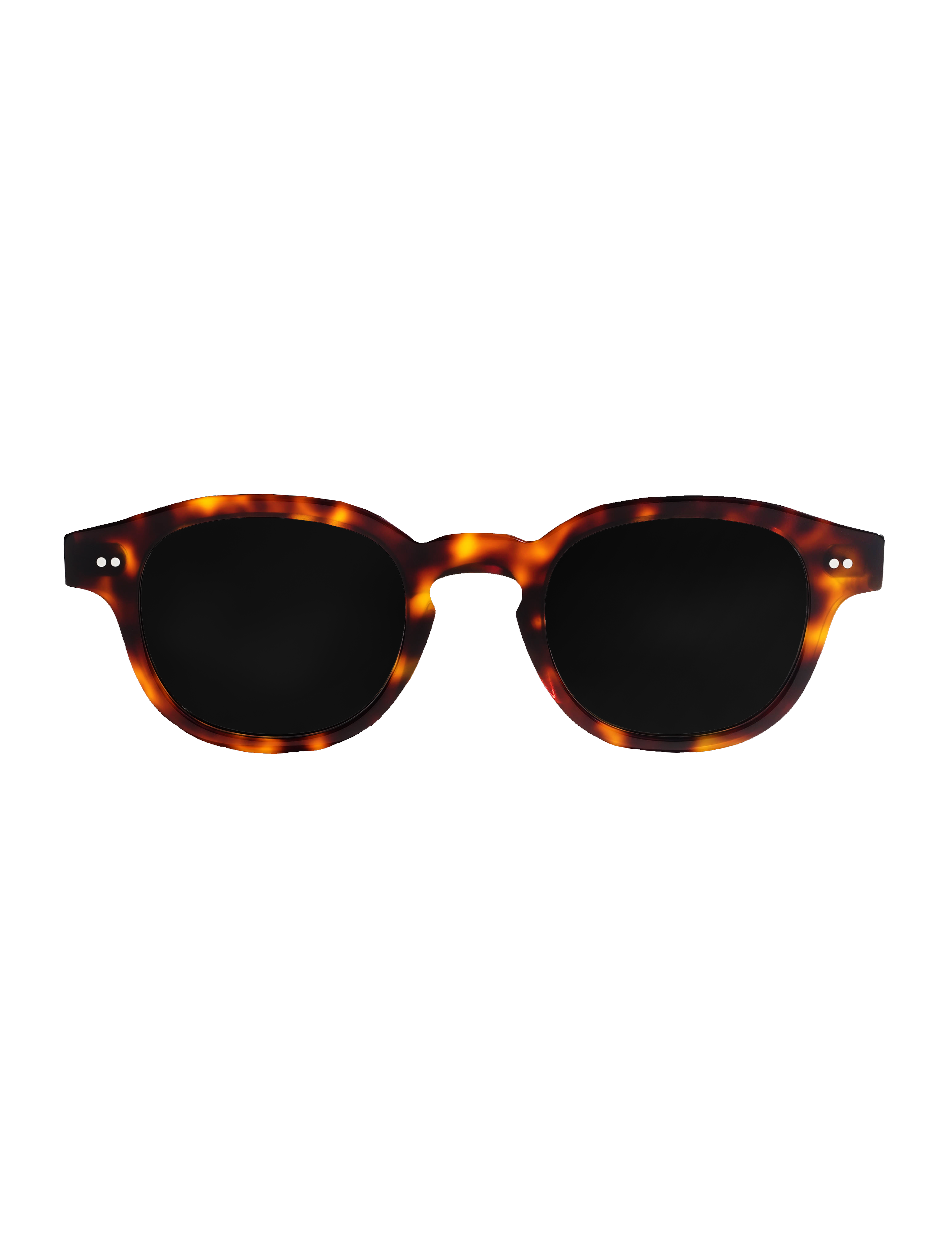 Cameo Sunglasses – Tortoiseshell Frame + Black Onyx Polarized Lenses